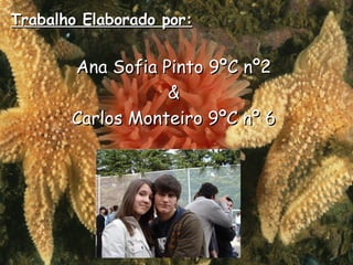 Trabalho Elaborado por: Ana Sofia Pinto 9ºC nº2 & Carlos Monteiro 9ºC nº 6 