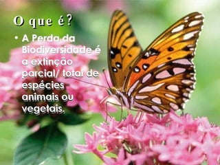 O que é? A Perda da Biodiversidade é a extinção parcial/ total de espécies animais ou vegetais. A Perda da Biodiversidade é a extinção parcial/ total de espécies animais ou vegetais. 
