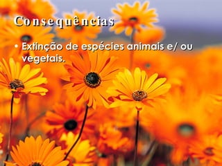 Consequências Extinção de espécies animais e/ ou vegetais. 
