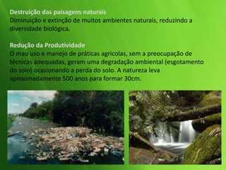 Destruição das paisagens naturais
Diminuição e extinção de muitos ambientes naturais, reduzindo a
diversidade biológica.
Redução da Produtividade
O mau uso e manejo de práticas agrícolas, sem a preocupação de
técnicas adequadas, geram uma degradação ambiental (esgotamento
do solo) ocasionando a perda do solo. A natureza leva
aproximadamente 500 anos para formar 30cm.
 