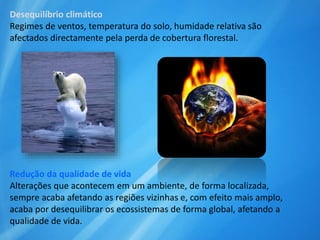 Desequilíbrio climático
Regimes de ventos, temperatura do solo, humidade relativa são
afectados directamente pela perda de cobertura florestal.
Redução da qualidade de vida
Alterações que acontecem em um ambiente, de forma localizada,
sempre acaba afetando as regiões vizinhas e, com efeito mais amplo,
acaba por desequilibrar os ecossistemas de forma global, afetando a
qualidade de vida.
 