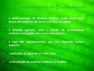 • a desflorestação da floresta tropical, onde vivem dois
terços das espécies da fauna e da flora do globo;
• a pressão agrícola, com a criação de ecossistemas
artificiais protegidos dos seres indesejáveis;
• a caça não regulamentada, que tem dizimado muitas
espécies
• a poluição da agua do ar e dos solos
• a introdução de espécies exóticas ao habitat
Causas da perda da Biodiversidade
 
