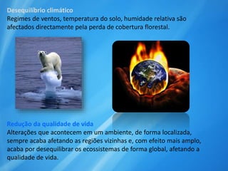Desequilíbrio climático
Regimes de ventos, temperatura do solo, humidade relativa são
afectados directamente pela perda de cobertura florestal.
Redução da qualidade de vida
Alterações que acontecem em um ambiente, de forma localizada,
sempre acaba afetando as regiões vizinhas e, com efeito mais amplo,
acaba por desequilibrar os ecossistemas de forma global, afetando a
qualidade de vida.
 