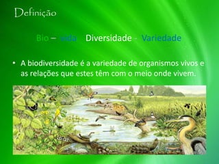 Definição
Bio – vida Diversidade - Variedade
• A biodiversidade é a variedade de organismos vivos e
as relações que estes têm com o meio onde vivem.
 