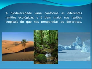A biodiversidade varia conforme as diferentes
regiões ecológicas, e é bem maior nas regiões
tropicais do que nas temperadas ou deserticas.
 