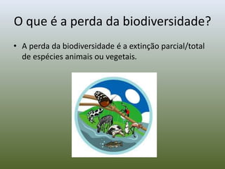 O que é a perda da biodiversidade?
• A perda da biodiversidade é a extinção parcial/total
de espécies animais ou vegetais.
 