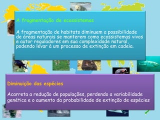 A fragmentação de ecossistemas
A fragmentação de habitats diminuem a possibilidade
de áreas naturais se manterem como ecossistemas vivos
e autor reguladores em sua complexidade natural,
podendo levar à um processo de extinção em cadeia.
Diminuição das espécies
Acarreta a redução de populações, perdendo a variabilidade
genética e o aumento da probabilidade de extinção de espécies
 