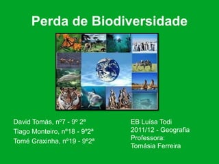 Perda de Biodiversidade




David Tomás, nº7 - 9º 2ª      EB Luísa Todi
Tiago Monteiro, nº18 - 9º2ª   2011/12 - Geografia
Tomé Graxinha, nº19 - 9º2ª    Professora:
                              Tomásia Ferreira
 