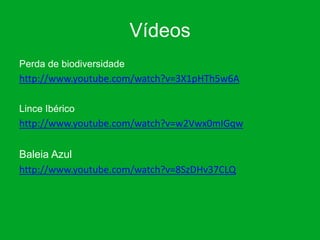 Vídeos
Perda de biodiversidade
http://www.youtube.com/watch?v=3X1pHTh5w6A

Lince Ibérico
http://www.youtube.com/watch?v=w2Vwx0mIGqw

Baleia Azul
http://www.youtube.com/watch?v=8SzDHv37CLQ
 