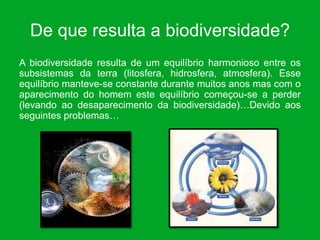 De que resulta a biodiversidade?
A biodiversidade resulta de um equilíbrio harmonioso entre os
subsistemas da terra (litosfera, hidrosfera, atmosfera). Esse
equilíbrio manteve-se constante durante muitos anos mas com o
aparecimento do homem este equilíbrio começou-se a perder
(levando ao desaparecimento da biodiversidade)…Devido aos
seguintes problemas…
 