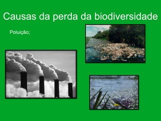 Causas da perda da biodiversidade
 Poluição;
 