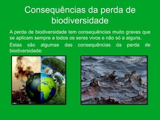 Consequências da perda de
           biodiversidade
A perda de biodiversidade tem consequências muito graves que
se aplicam sempre a todos os seres vivos e não só a alguns.
Estas são algumas das consequências da perda de
biodiversidade:
 