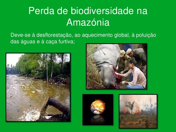 Nesse Texto Para Defender A Tese De Que A Biodiversidade