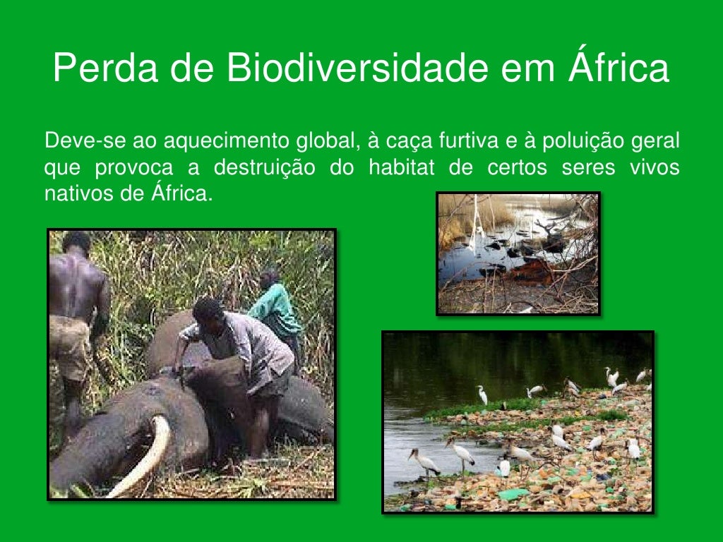 Nesse Texto Para Defender A Tese De Que A Biodiversidade