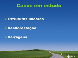 Casos em estudo

Estruturas lineares

Desflorestação

Barragens




                        Página 4
 