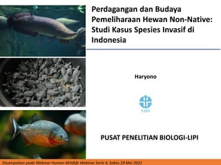 Perdagangan dan Budaya
Pemeliharaan Hewan Non-Native:
Studi Kasus Spesies Invasif di
Indonesia
Haryono
PUSAT PENELITIAN BIOLOGI-LIPI
Disampaikan pada Webinar Human-Wildlife Webinar Serie 4, Sabtu 29 Mei 2021
 