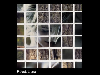 Regot, Lluna
 