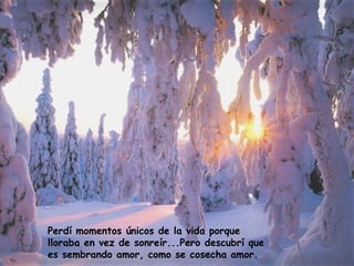 Perdí momentos únicos de la vida porque
lloraba en vez de sonreír...Pero descubrí que
es sembrando amor, como se cosecha amor.
 