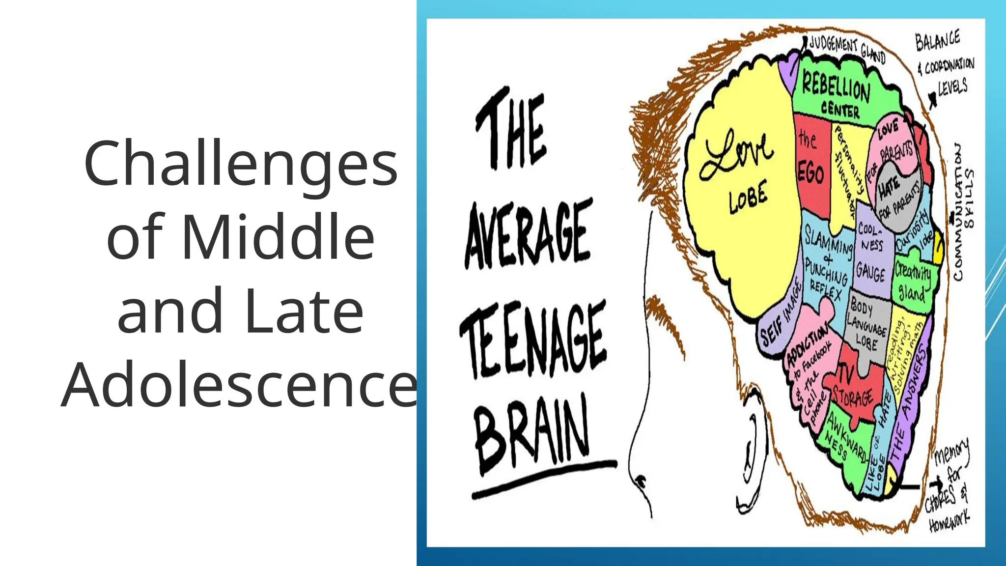 Challenges
of Middle
and Late
Adolescence
 