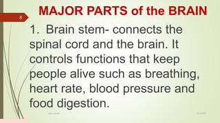 MAJOR PARTS of the BRAIN
1. Brain stem- connects the
spinal cord and the brain. It
controls functions that keep
people alive such as breathing,
heart rate, blood pressure and
food digestion.
2/13/2023
Add a footer
8
 