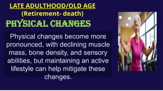 Physical changes become more
pronounced, with declining muscle
mass, bone density, and sensory
abilities, but maintaining an active
lifestyle can help mitigate these
changes.
LATE ADULTHOOD/OLD AGE
(Retirement- death)
PHYSICAL CHANGES
 