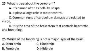 25. What is true about the cerebrum?
A. It’s named after its bell-like shape.
B. It plays a large role in motor control.
C. Common signs of cerebellum damage are related to
vision.
D. It is the area of the brain stem that controls heart rate
and breathing.
26. Which of the following is not a major layer of the brain
A. Stem brain C. Hindbrain
B. Forebrain D. Midbrain
 