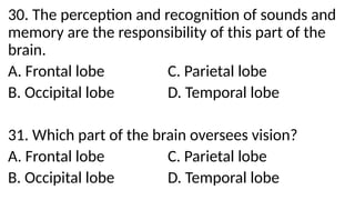 30. The perception and recognition of sounds and
memory are the responsibility of this part of the
brain.
A. Frontal lobe C. Parietal lobe
B. Occipital lobe D. Temporal lobe
31. Which part of the brain oversees vision?
A. Frontal lobe C. Parietal lobe
B. Occipital lobe D. Temporal lobe
 