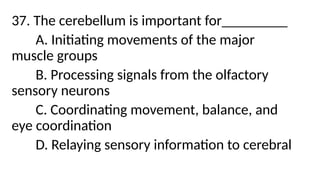 37. The cerebellum is important for_________
A. Initiating movements of the major
muscle groups
B. Processing signals from the olfactory
sensory neurons
C. Coordinating movement, balance, and
eye coordination
D. Relaying sensory information to cerebral
 