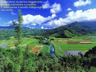 Perdi o temor de dar-me integralmente, temendo sofrimentos e cicatrizes. E assim ganhei a bendita multiplicação do meu tempo. 