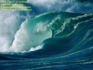 Perdi o temor de desbravar  caminhos conhecidos. E assim ganhei novas visões. E horizontes. E novos amigos.   