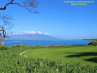 Comentário e apresentação por Renato Cardoso 