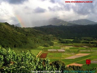 Imagens enviads por Roelof.  http://slideshare.web-log.nl   www.vivendobauru.com.br 