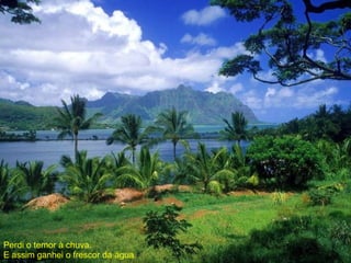 Perdi o temor à chuva.  E assim ganhei o frescor da água. 