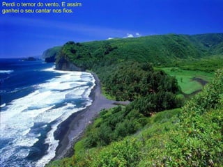 Perdi o temor do vento. E assim ganhei o seu cantar nos fios. 