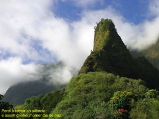 Perdi o temor ao silêncio  e assim ganhei momentos de paz. 