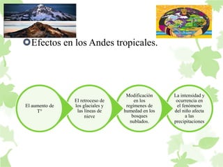 Efectos en los Andes tropicales. 
La intensidad y 
ocurrencia en 
el fenómeno 
del niño afecta 
a las 
precipitaciones 
Modificación 
en los 
regímenes de 
humedad en los 
bosques 
nublados. 
El retroceso de 
los glaciales y 
las líneas de 
nieve 
El aumento de 
T° 
 