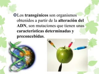Los transgénicos son organismos 
obtenidos a partir de la alteración del 
ADN, son mutaciones que tienen unas 
características determinadas y 
preconcebidas. 
 