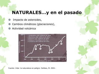 NATURALES…y en el pasado 
 Impacto de asteroides, 
 Cambios climáticos (glaciaciones), 
 Actividad volcánica 
Fuente: Vida: la naturaleza en peligro. Delibes, M. 2001. 
 