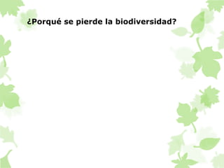 ¿Porqué se pierde la biodiversidad? 
 