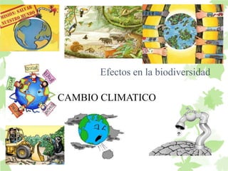 Efectos en la biodiversidad 
CAMBIO CLIMATICO 
 