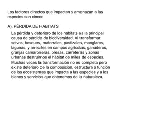 Los factores directos que impactan y amenazan a las
especies son cinco:
A). PÉRDIDA DE HABITATS
La pérdida y deterioro de los hábitats es la principal
causa de pérdida de biodiversidad. Al transformar
selvas, bosques, matorrales, pastizales, manglares,
lagunas, y arrecifes en campos agrícolas, ganaderos,
granjas camaroneras, presas, carreteras y zonas
urbanas destruimos el hábitat de miles de especies.
Muchas veces la transformación no es completa pero
existe deterioro de la composición, estructura o función
de los ecosistemas que impacta a las especies y a los
bienes y servicios que obtenemos de la naturaleza.
 