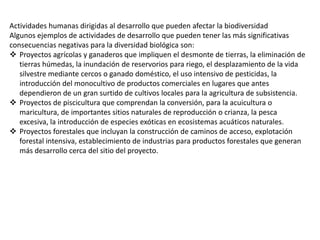 Actividades humanas dirigidas al desarrollo que pueden afectar la biodiversidad
Algunos ejemplos de actividades de desarrollo que pueden tener las más significativas
consecuencias negativas para la diversidad biológica son:
 Proyectos agrícolas y ganaderos que impliquen el desmonte de tierras, la eliminación de
tierras húmedas, la inundación de reservorios para riego, el desplazamiento de la vida
silvestre mediante cercos o ganado doméstico, el uso intensivo de pesticidas, la
introducción del monocultivo de productos comerciales en lugares que antes
dependieron de un gran surtido de cultivos locales para la agricultura de subsistencia.
 Proyectos de piscicultura que comprendan la conversión, para la acuicultura o
maricultura, de importantes sitios naturales de reproducción o crianza, la pesca
excesiva, la introducción de especies exóticas en ecosistemas acuáticos naturales.
 Proyectos forestales que incluyan la construcción de caminos de acceso, explotación
forestal intensiva, establecimiento de industrias para productos forestales que generan
más desarrollo cerca del sitio del proyecto.
 