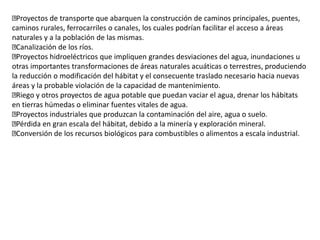 Proyectos de transporte que abarquen la construcción de caminos principales, puentes,
caminos rurales, ferrocarriles o canales, los cuales podrían facilitar el acceso a áreas
naturales y a la población de las mismas.
Canalización de los ríos.
Proyectos hidroeléctricos que impliquen grandes desviaciones del agua, inundaciones u
otras importantes transformaciones de áreas naturales acuáticas o terrestres, produciendo
la reducción o modificación del hábitat y el consecuente traslado necesario hacia nuevas
áreas y la probable violación de la capacidad de mantenimiento.
Riego y otros proyectos de agua potable que puedan vaciar el agua, drenar los hábitats
en tierras húmedas o eliminar fuentes vitales de agua.
Proyectos industriales que produzcan la contaminación del aire, agua o suelo.
Pérdida en gran escala del hábitat, debido a la minería y exploración mineral.
Conversión de los recursos biológicos para combustibles o alimentos a escala industrial.
 
