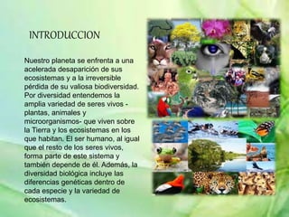 INTRODUCCION
Nuestro planeta se enfrenta a una
acelerada desaparición de sus
ecosistemas y a la irreversible
pérdida de su valiosa biodiversidad.
Por diversidad entendemos la
amplia variedad de seres vivos -
plantas, animales y
microorganismos- que viven sobre
la Tierra y los ecosistemas en los
que habitan. El ser humano, al igual
que el resto de los seres vivos,
forma parte de este sistema y
también depende de él. Además, la
diversidad biológica incluye las
diferencias genéticas dentro de
cada especie y la variedad de
ecosistemas.
 