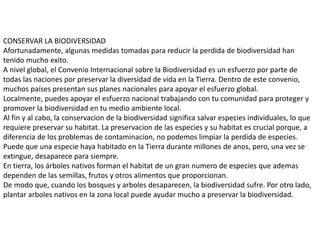 CONSERVAR LA BIODIVERSIDAD
Afortunadamente, algunas medidas tomadas para reducir la perdida de biodiversidad han
tenido mucho exito.
A nivel global, el Convenio Internacional sobre la Biodiversidad es un esfuerzo por parte de
todas las naciones por preservar la diversidad de vida en la Tierra. Dentro de este convenio,
muchos países presentan sus planes nacionales para apoyar el esfuerzo global.
Localmente, puedes apoyar el esfuerzo nacional trabajando con tu comunidad para proteger y
promover la biodiversidad en tu medio ambiente local.
Al fin y al cabo, la conservacion de la biodiversidad significa salvar especies individuales, lo que
requiere preservar su habitat. La preservacion de las especies y su habitat es crucial porque, a
diferencia de los problemas de contaminacion, no podemos limpiar la perdida de especies.
Puede que una especie haya habitado en la Tierra durante millones de anos, pero, una vez se
extingue, desaparece para siempre.
En tierra, los árboles nativos forman el habitat de un gran numero de especies que ademas
dependen de las semillas, frutos y otros alimentos que proporcionan.
De modo que, cuando los bosques y arboles desaparecen, la biodiversidad sufre. Por otro lado,
plantar arboles nativos en la zona local puede ayudar mucho a preservar la biodiversidad.
 