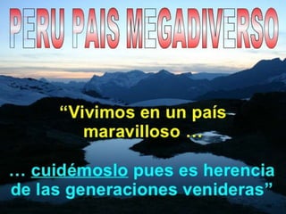Perdida de biodiversidad