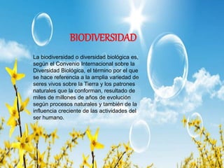 BIODIVERSIDAD
La biodiversidad o diversidad biológica es,
según el Convenio Internacional sobre la
Diversidad Biológica, el término por el que
se hace referencia a la amplia variedad de
seres vivos sobre la Tierra y los patrones
naturales que la conforman, resultado de
miles de millones de años de evolución
según procesos naturales y también de la
influencia creciente de las actividades del
ser humano.
 