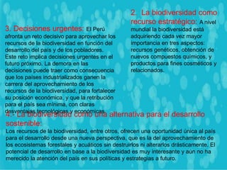 3. Decisiones urgentes: El Perú
afronta un reto decisivo para aprovechar los
recursos de la biodiversidad en función del
desarrollo del país y de los pobladores.
Este reto implica decisiones urgentes en el
futuro próximo. La demora en las
decisiones puede traer como consecuencia
que los países industrializados ganen la
carrera del aprovechamiento de los
recursos de la biodiversidad, para fortalecer
su posición económica, y que la retribución
para el país sea mínima, con claras
desventajas tecnológicas y económicas.
4.- La biodiversidad como una alternativa para el desarrollo
sostenible:
Los recursos de la biodiversidad, entre otros, ofrecen una oportunidad única al país
para el desarrollo desde una nueva perspectiva, que es la del aprovechamiento de
los ecosistemas forestales y acuáticos sin destruirlos ni alterarlos drásticamente. El
potencial de desarrollo en base a la biodiversidad es muy interesante y aún no ha
merecido la atención del país en sus políticas y estrategias a futuro.
2. La biodiversidad como
recurso estratégico: A nivel
mundial la biodiversidad está
adquiriendo cada vez mayor
importancia en tres aspectos:
recursos genéticos, obtención de
nuevos compuestos químicos, y
productos para fines cosméticos y
relacionados.
 