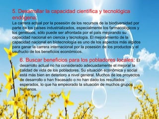 5. Desarrollar la capacidad científica y tecnológica
endógena:
La carrera actual por la posesión de los recursos de la biodiversidad por
parte de los países industrializados, especialmente los farmacológicos y
los genéticos, sólo puede ser afrontada por el país mejorando su
capacidad nacional en ciencia y tecnología. El mejoramiento de la
capacidad nacional en biotecnología es uno de los aspectos más álgidos
para ganar la carrera internacional por la posesión de los productos y el
usufructo de los beneficios económicos.
6. Buscar beneficios para los pobladores locales: El
desarrollo actual no ha considerado adecuadamente el mejorar la
calidad de vida de los pobladores. Su situación económica y social
está más bien en deterioro a nivel general. Muchos de los proyectos
de desarrollo o han fracasado o no han dado los resultados
esperados, lo que ha empeorado la situación de muchos grupos
humanos.
 