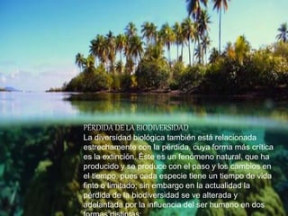 PÉRDIDA DE LA BIODIVERSIDAD
La diversidad biológica también está relacionada
estrechamente con la pérdida, cuya forma más crítica
es la extinción. Éste es un fenómeno natural, que ha
producido y se produce con el paso y los cambios en
el tiempo, pues cada especie tiene un tiempo de vida
finto o limitado; sin embargo en la actualidad la
pérdida de la biodiversidad se ve alterada y
adelantada por la influencia del ser humano en dos
 